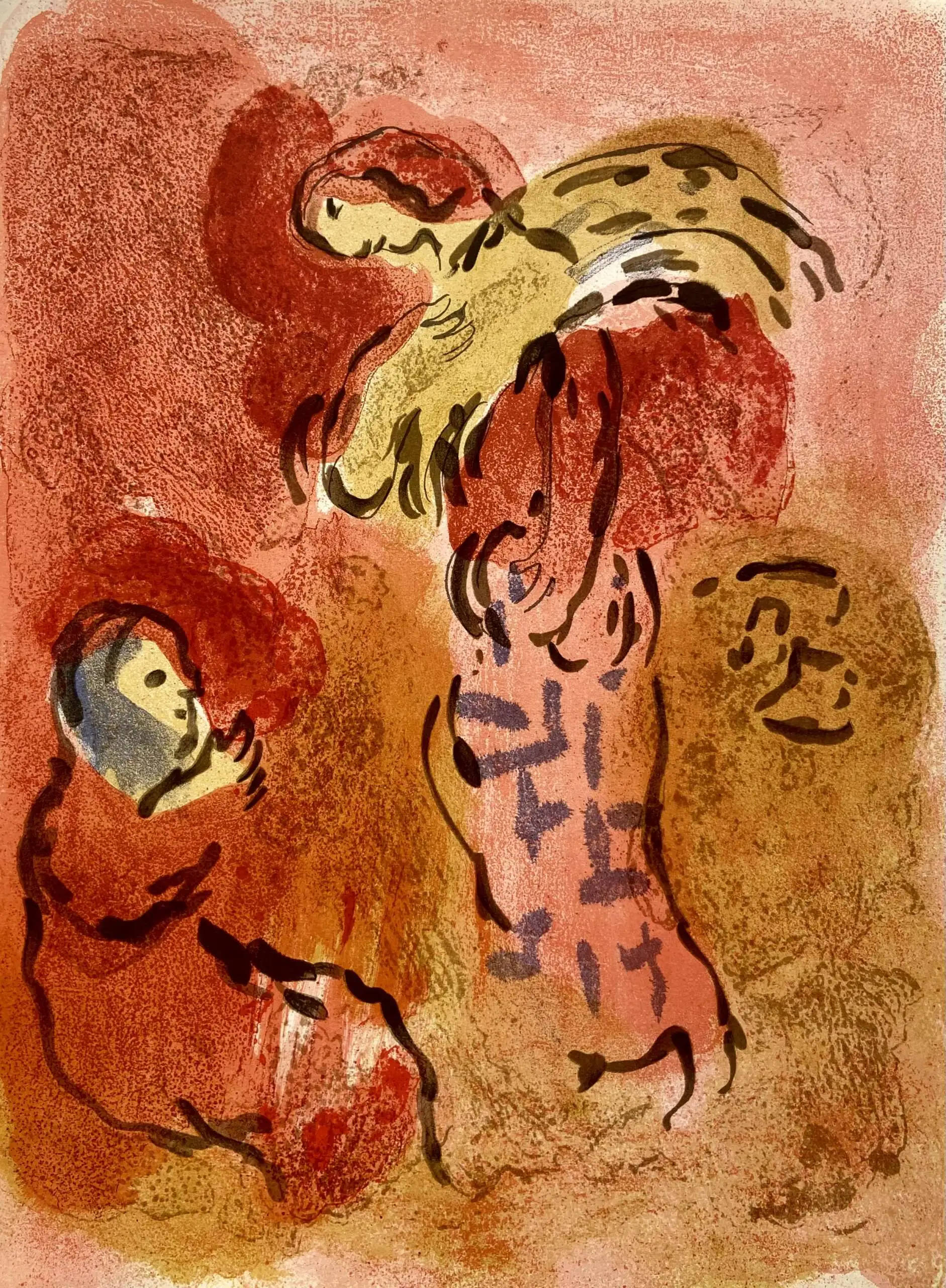 "Сборы Руфь"