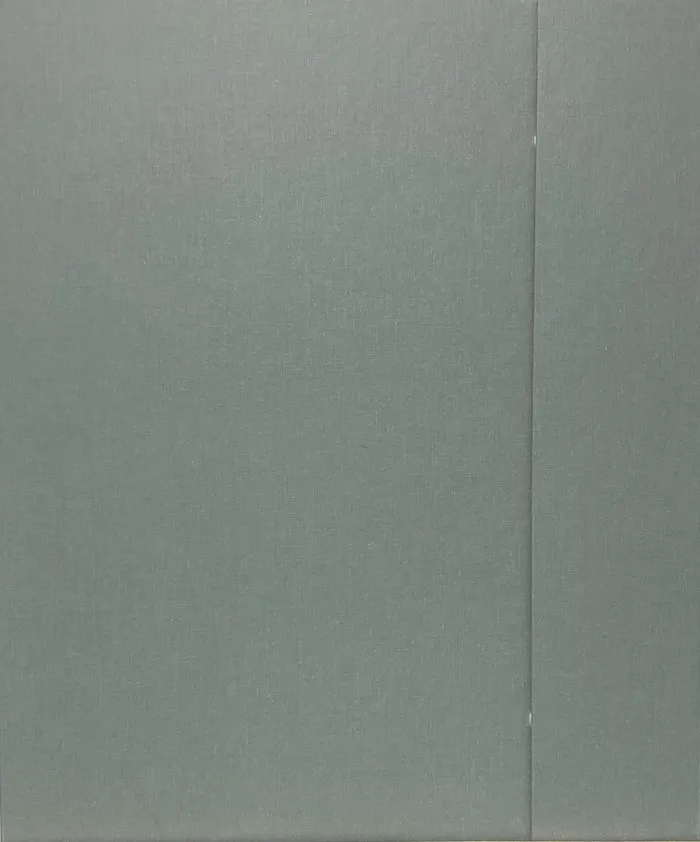 Portfolio "Playboy I", Patrick Nagel — изображение 3