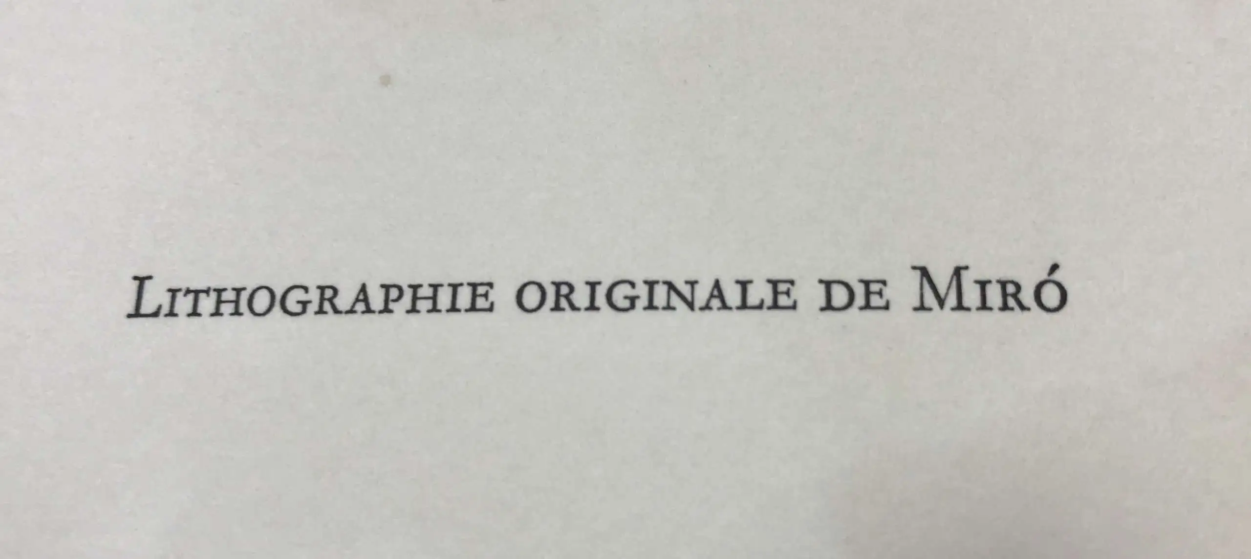 "Untitled" — изображение 2