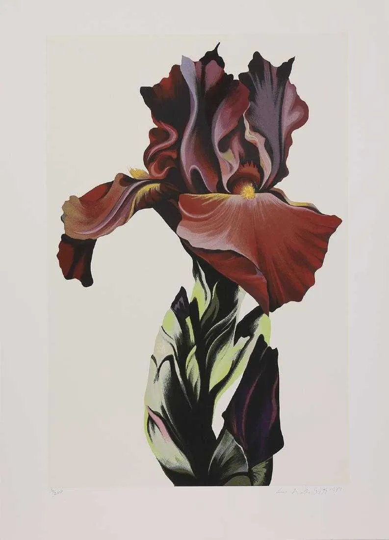 "Burgundy Iris"