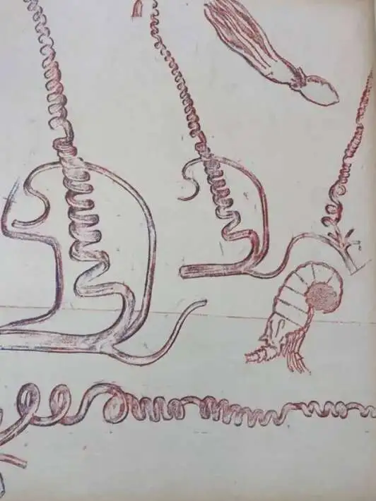 "Спиральное"