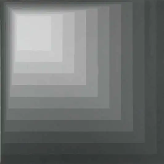 "Оптическая бесконечность"