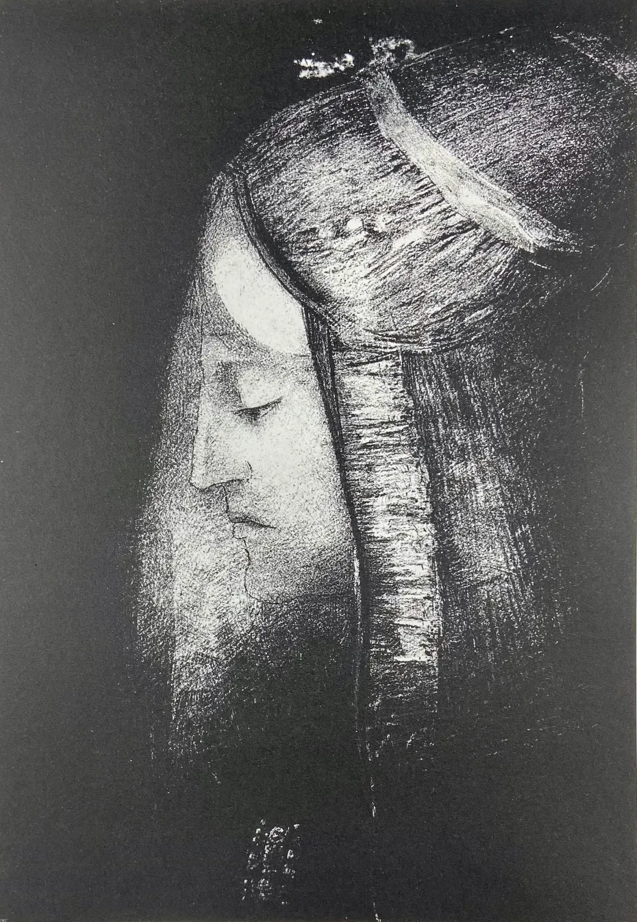 "Profil de lumière"