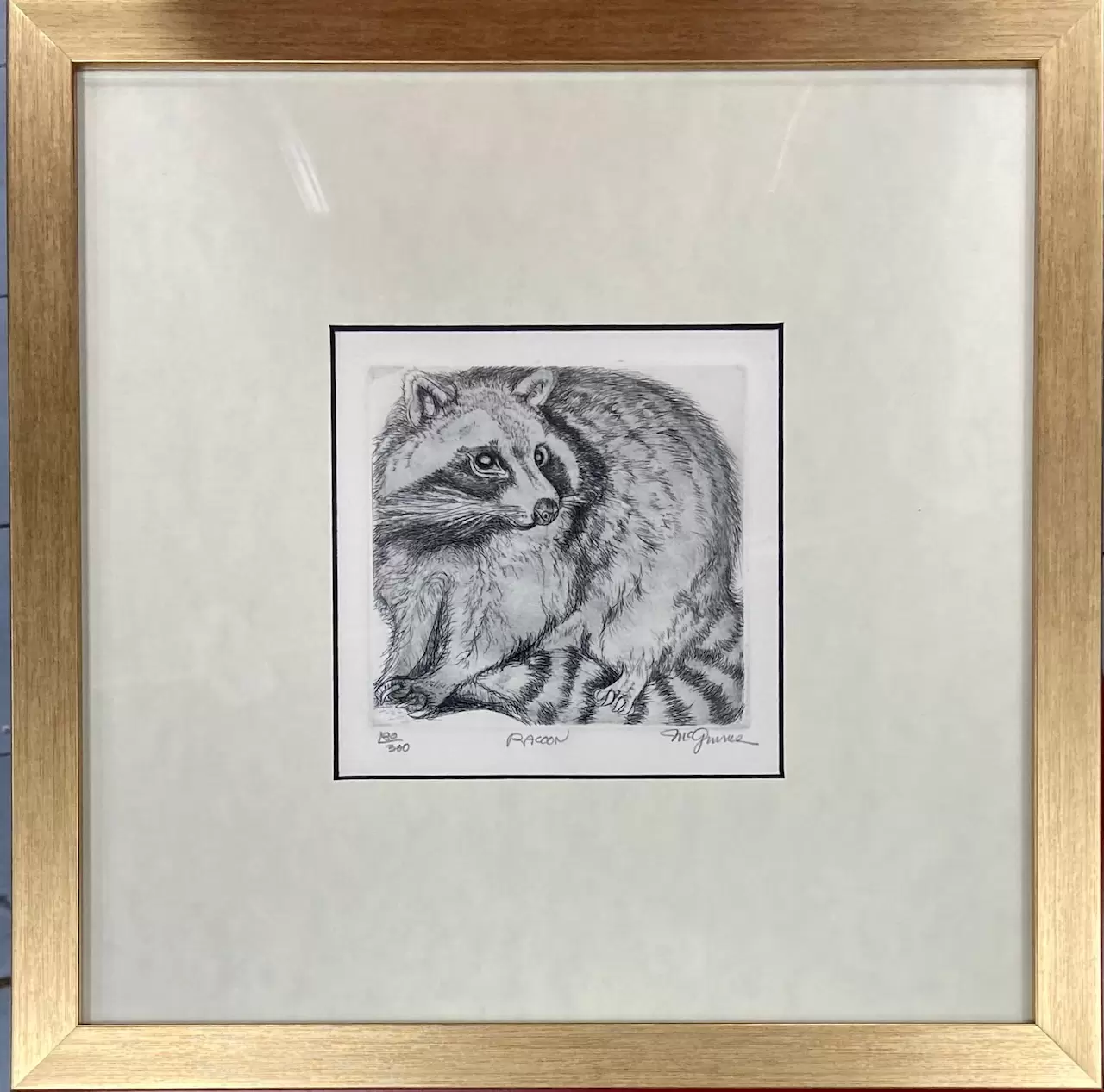 "Енот" — изображение 2