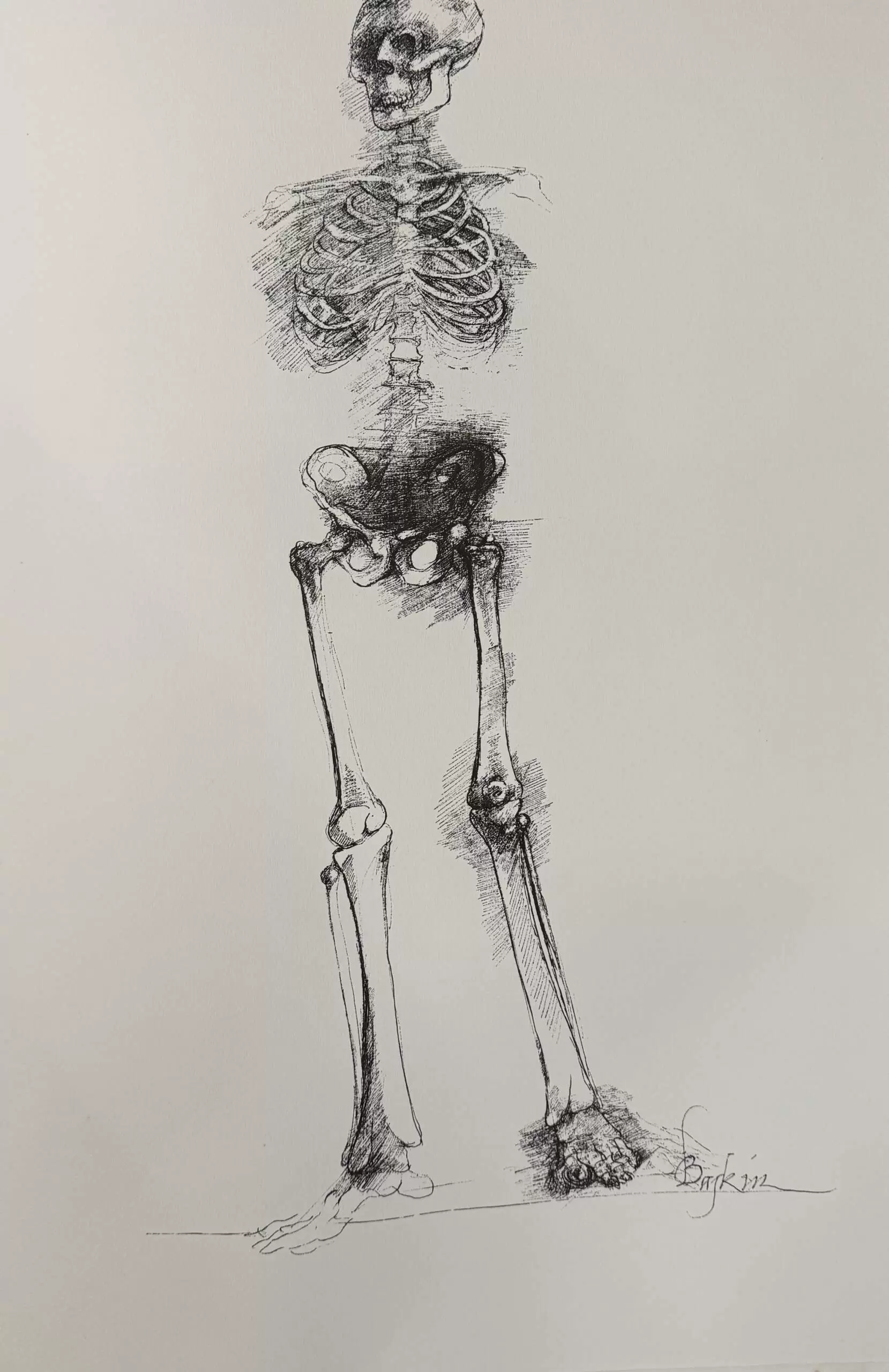 Портфолио "ARS ANATOMICA" — изображение 14