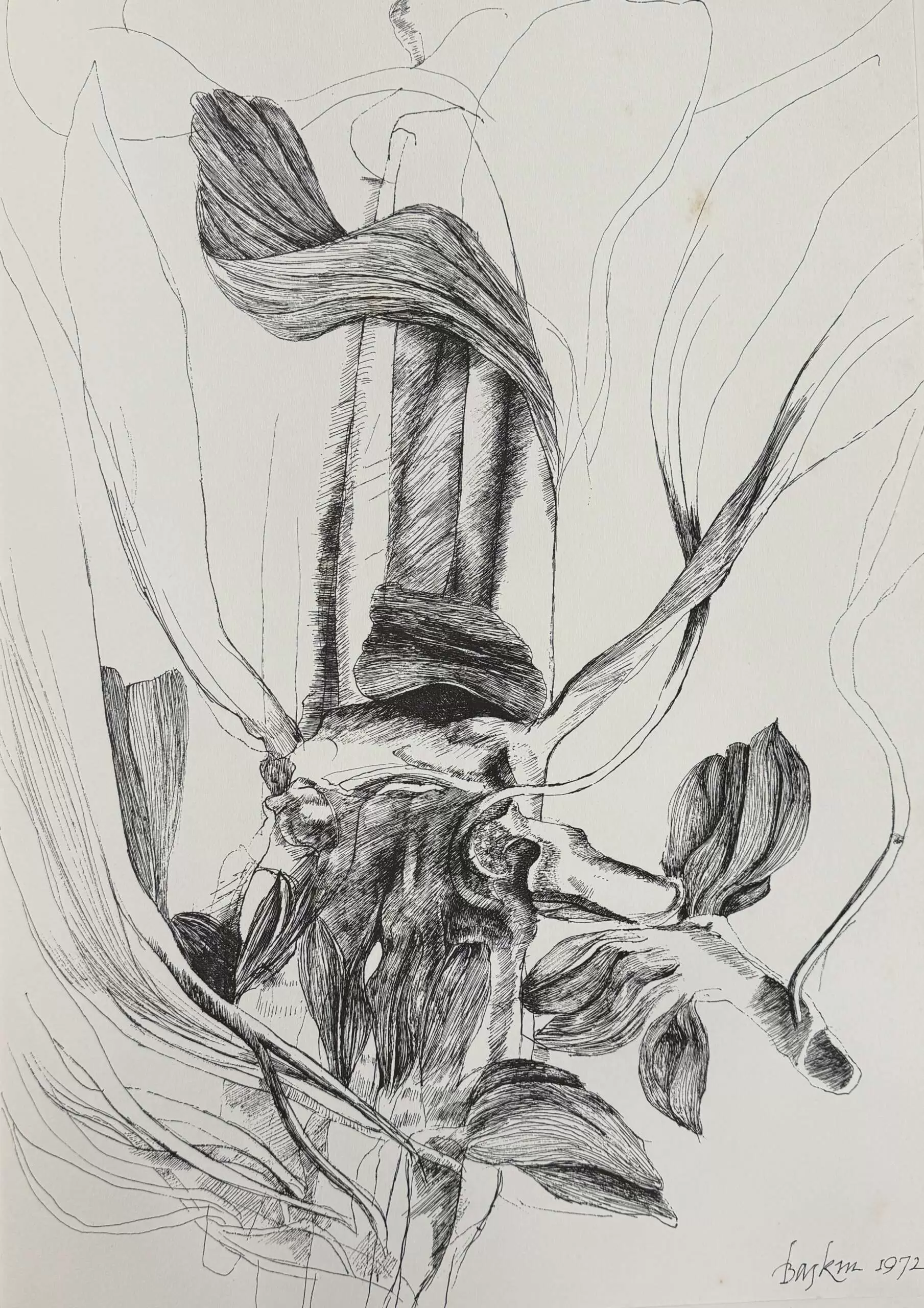 Портфолио "ARS ANATOMICA" — изображение 15