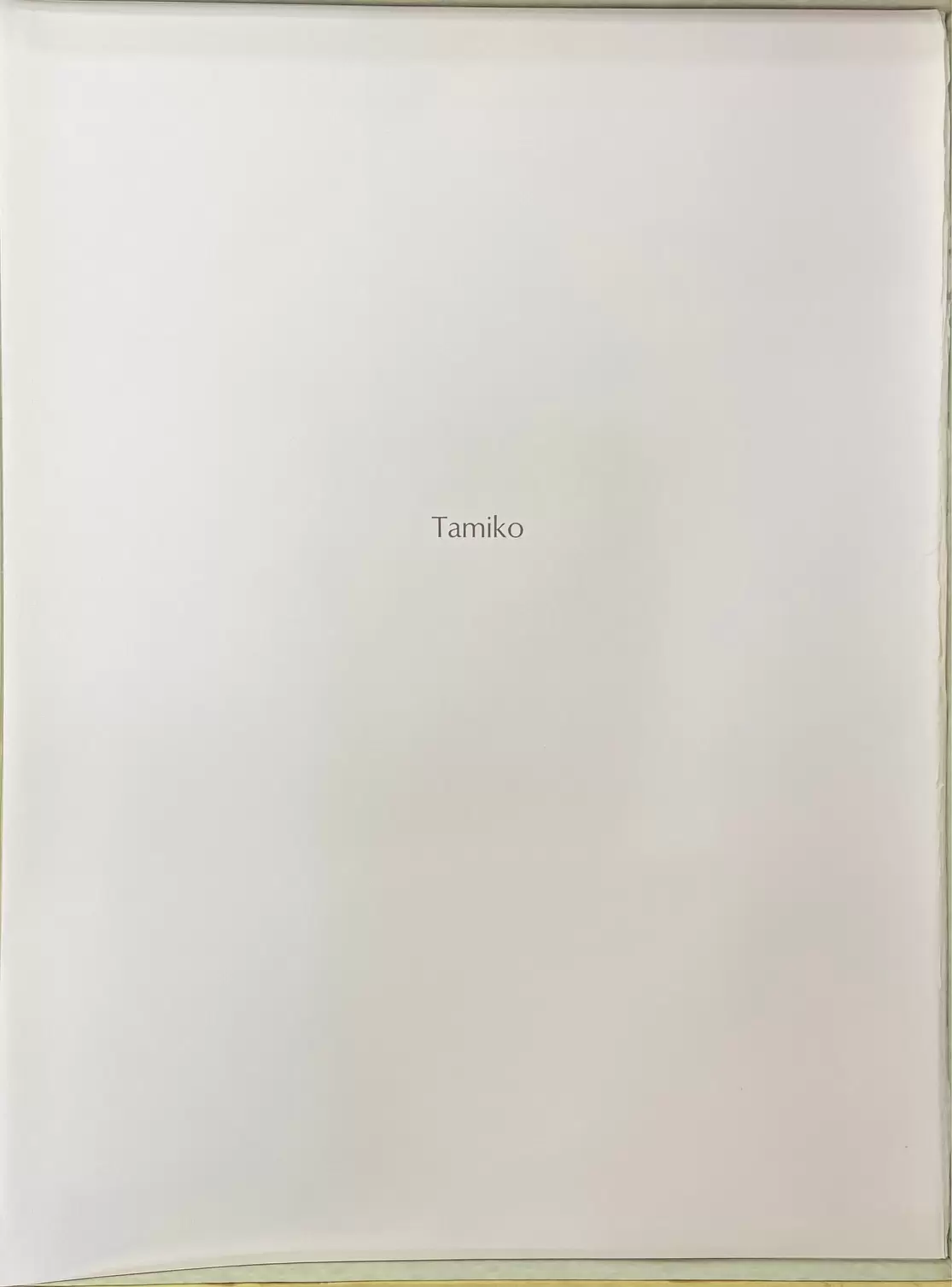 Портфолио "Museum Suite" — изображение 11