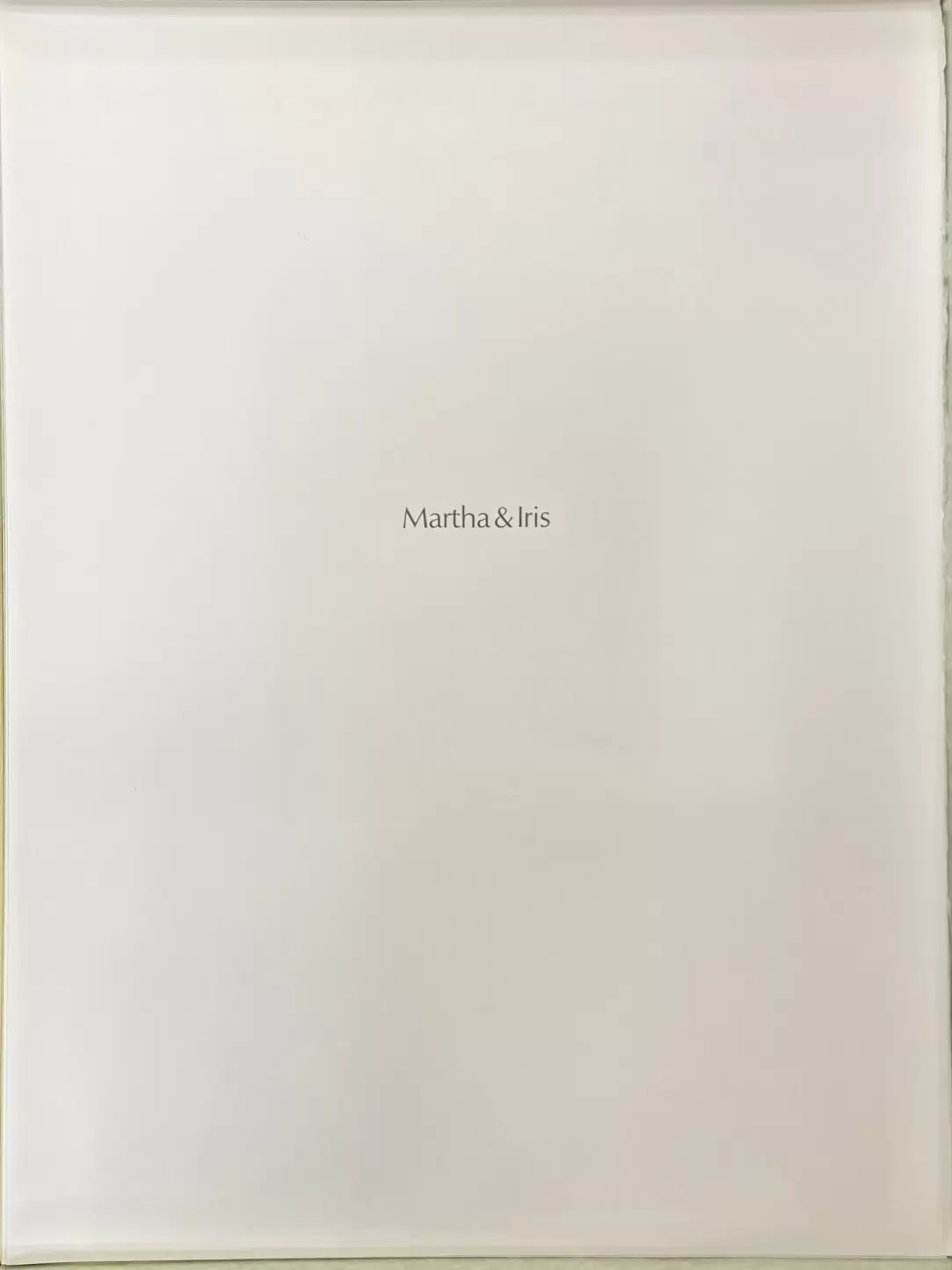 Портфолио "Museum Suite" — изображение 13