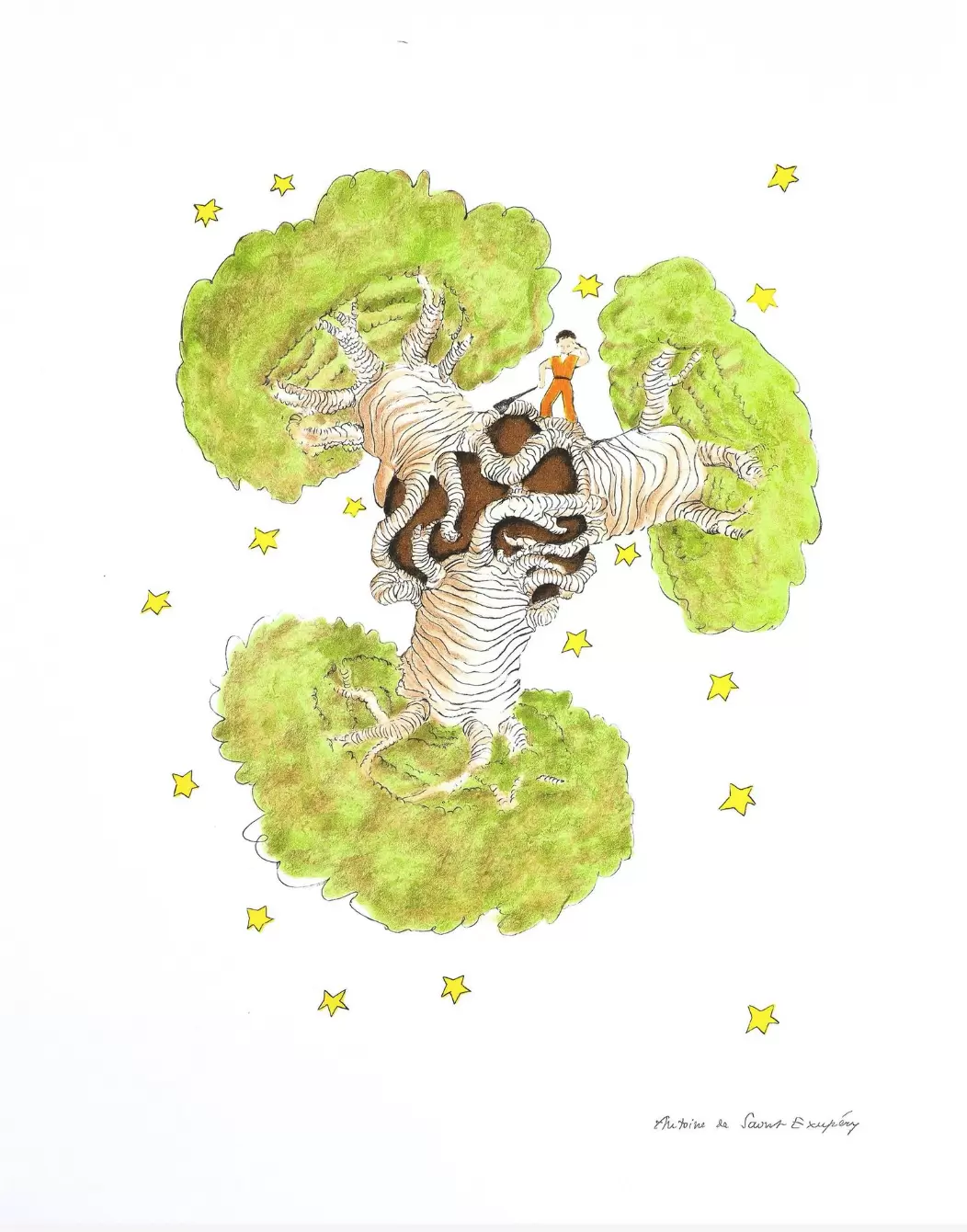 "Маленький принц и Баобаб" — изображение 2