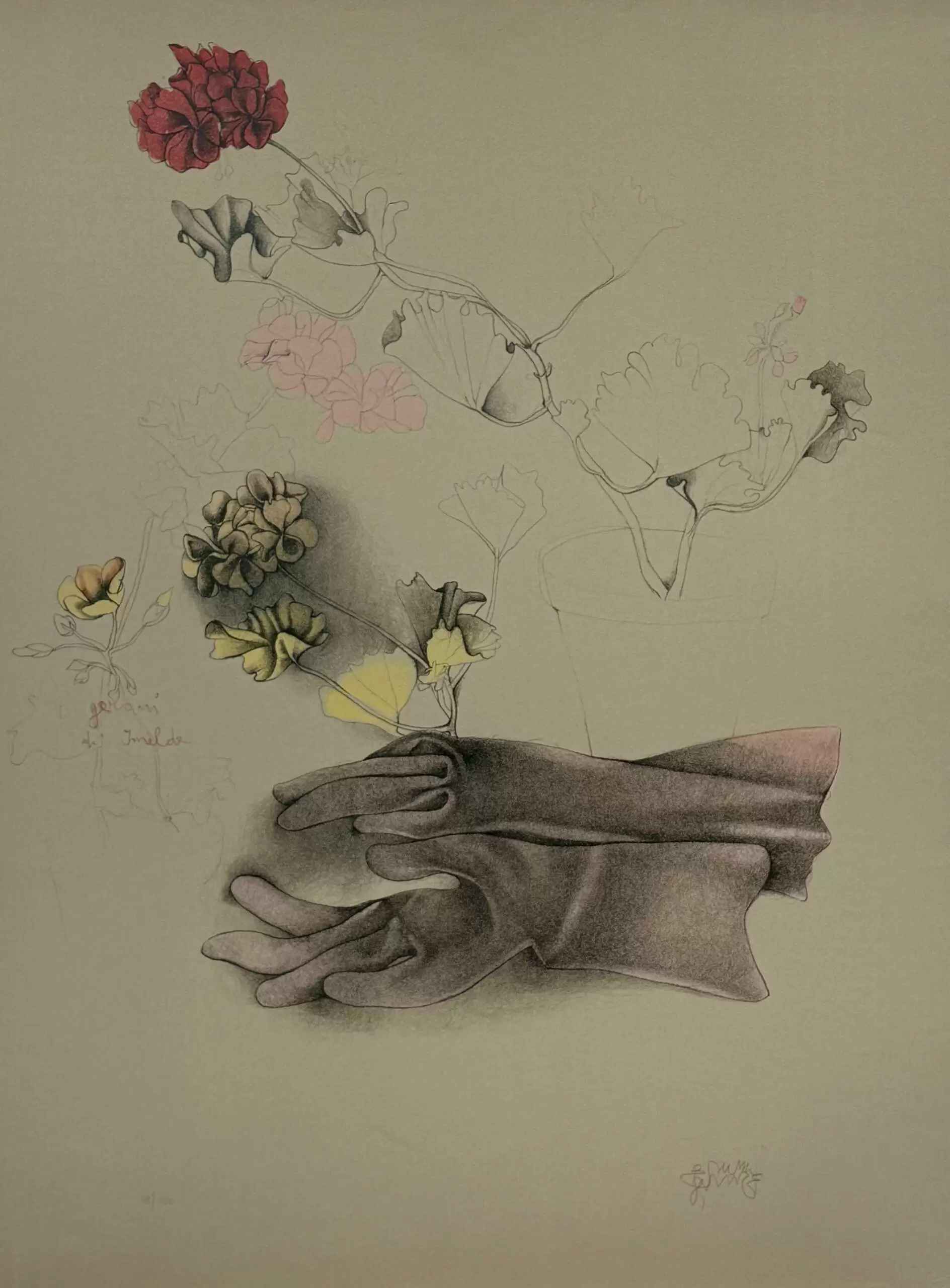 "Герани для Имельды"