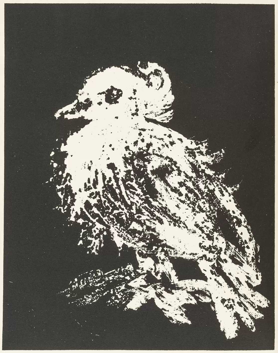 "La Petite Colombe" (Маленькая голубка)