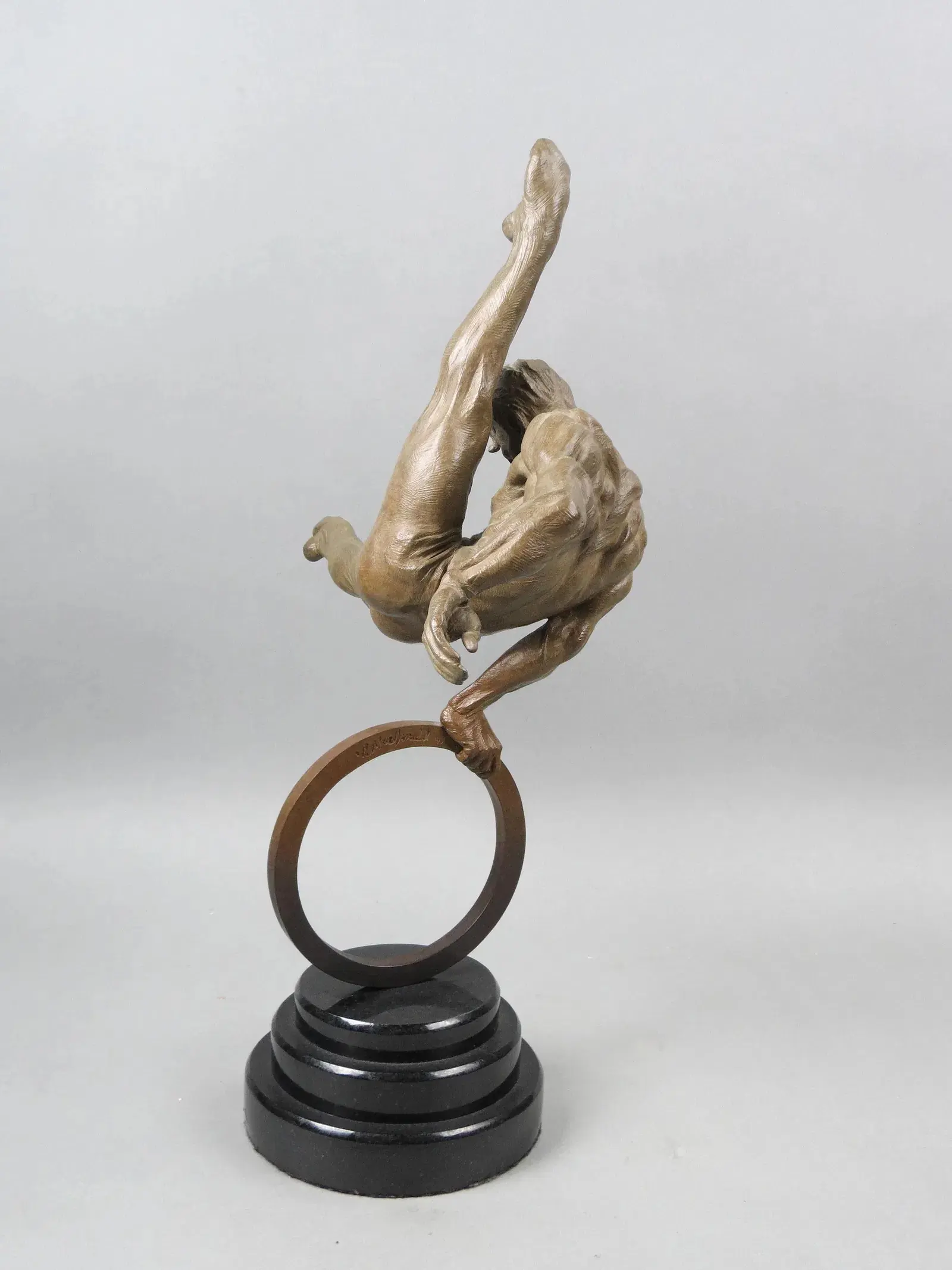 "Гимнаст" — изображение 2