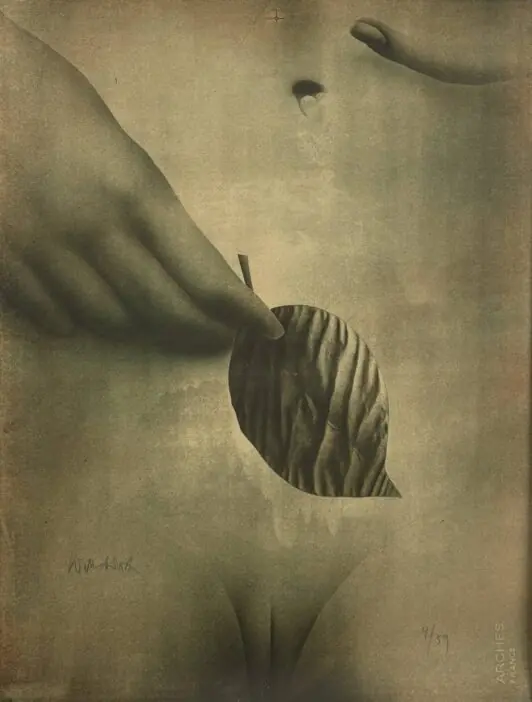 "Das Blatt (Лист)", 1971 г.