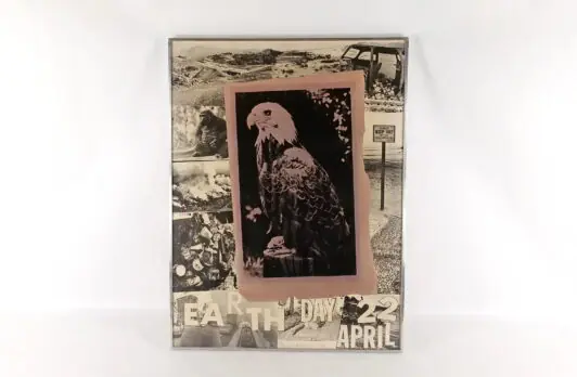 "Earth Day (День Земли)", 1970 г.