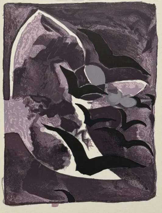 "Les oiseaux de Nuit"